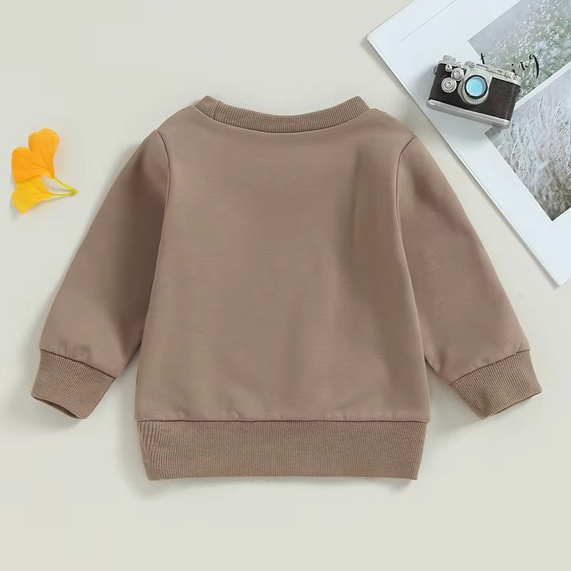 Toddler Boys Long Sleeve Sweatshirt
